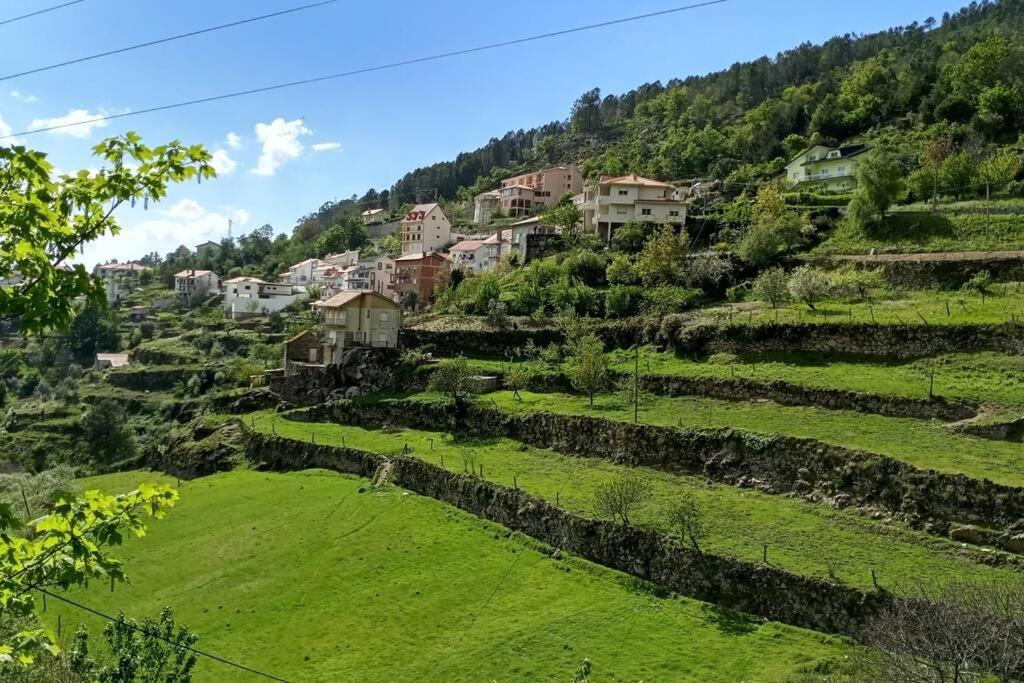 فيلا Casa Do Pelourinho - T1 لوريغا المظهر الخارجي الصورة